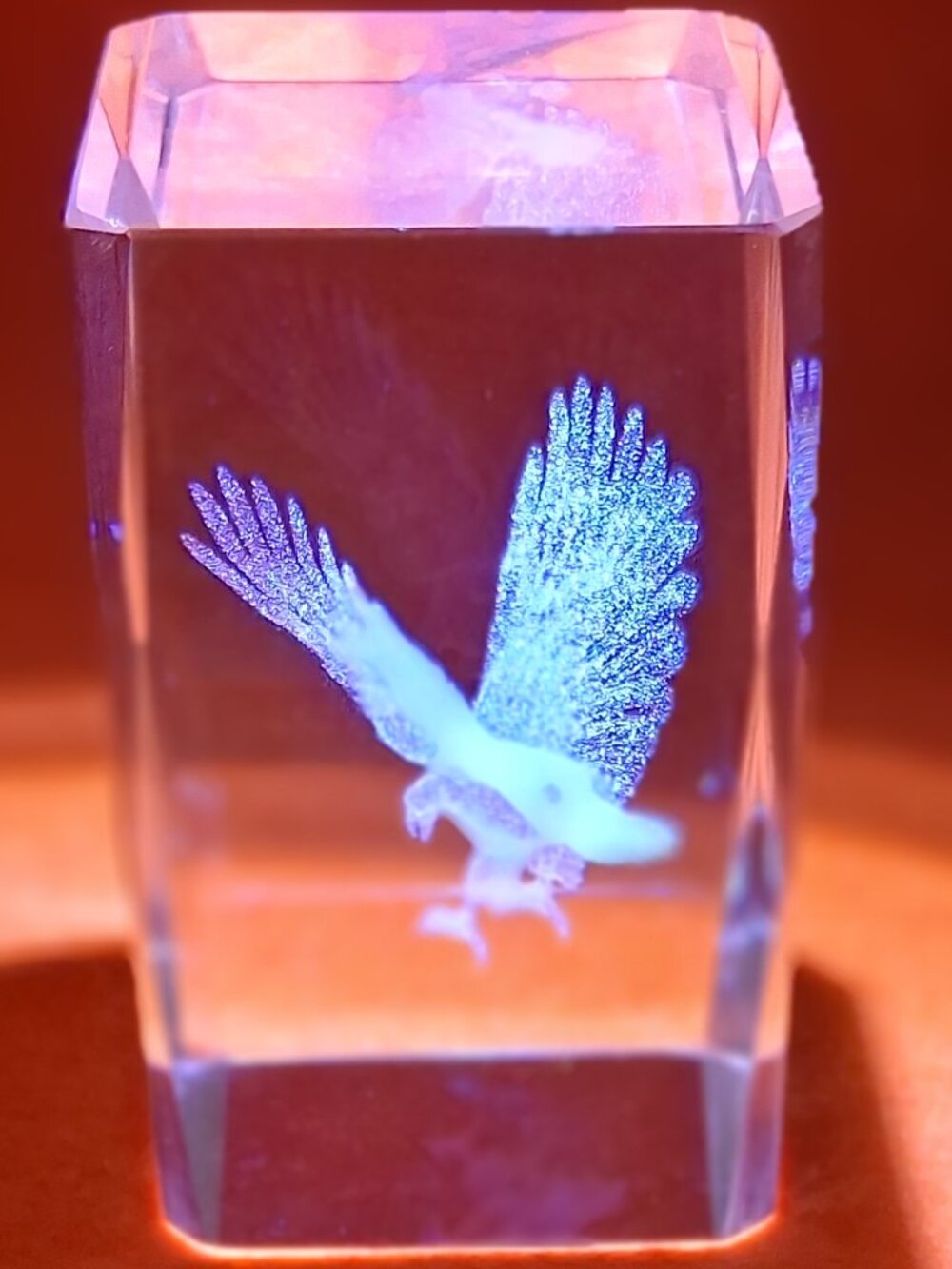 3D Laser‑Etched Crystal Bird in Flight Figurine w/ Presentation Box - Picture 3 of 7